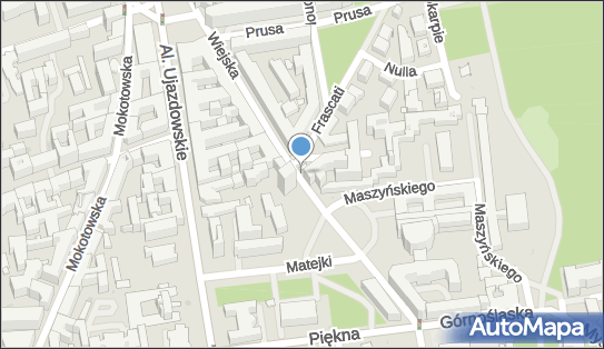 Podziemny, Wiejska 10, Warszawa 00-489 - Hydrant