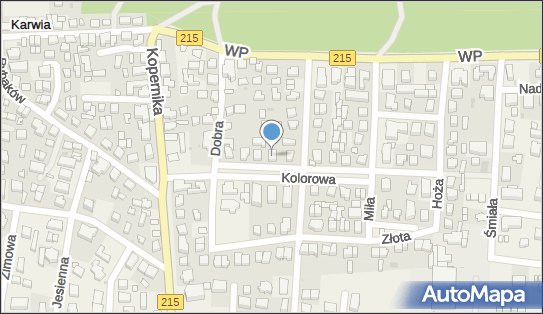 Usługi Informatyczne Michał Dettlaff, Kolorowa 7, Karwia 84-105 - Informatyka, NIP: 5871653357