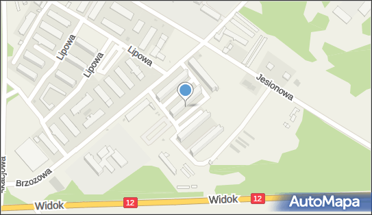 9241630517, Kisiel Wioletta Usługi Komputerowe 