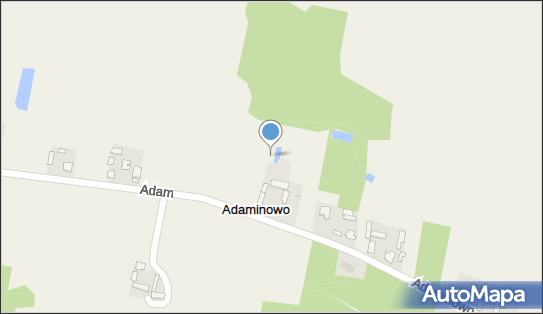 Adaminowo, Adaminowo - Inne