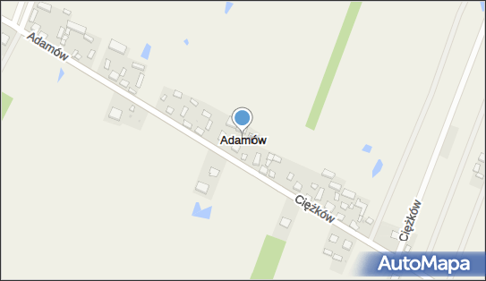 Adamów (powiat kutnowski), Adamów - Inne
