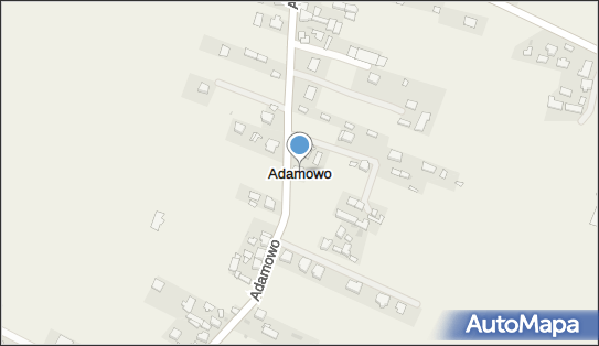 Adamowo (gmina Włoszakowice), Adamowo - Inne