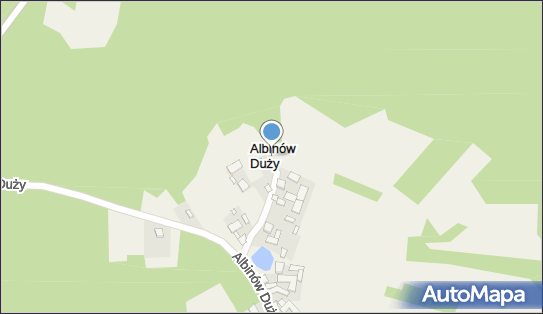 Albinów Duży, Albinów Duży - Inne