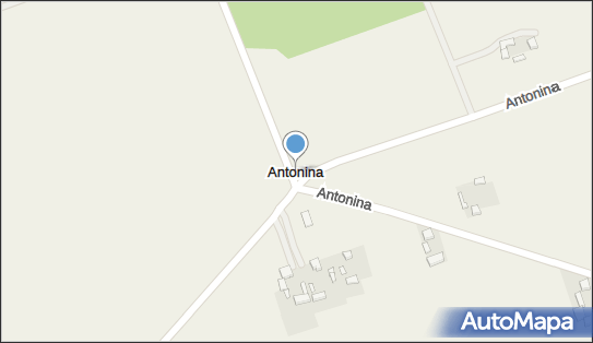 Antonina (powiat bełchatowski), Antonina - Inne