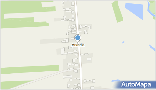 Arkadia (powiat łowicki), Arkadia - Inne