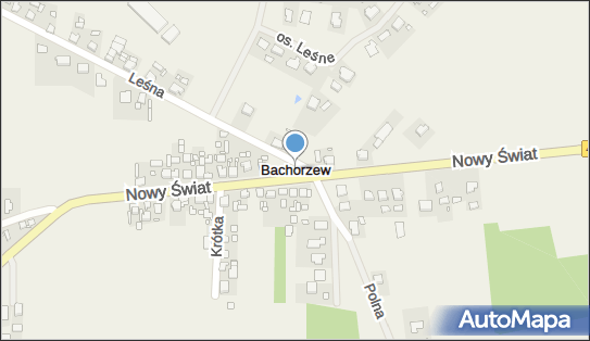 Bachorzew, Bachorzew - Inne