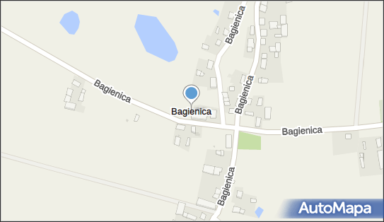 Bagienica, Bagienica - Inne