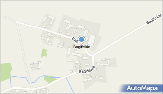 Bagińskie, Bagińskie - Inne