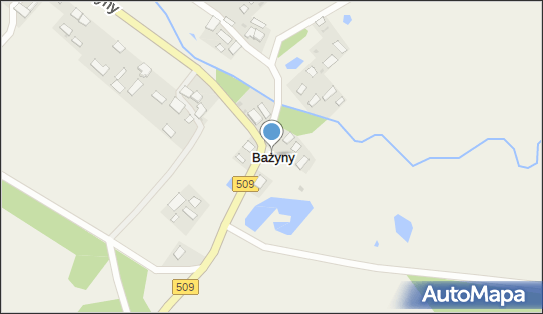 Bażyny, Bażyny - Inne