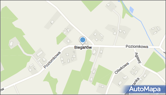 Bieganów (województwo mazowieckie), Bieganów - Inne