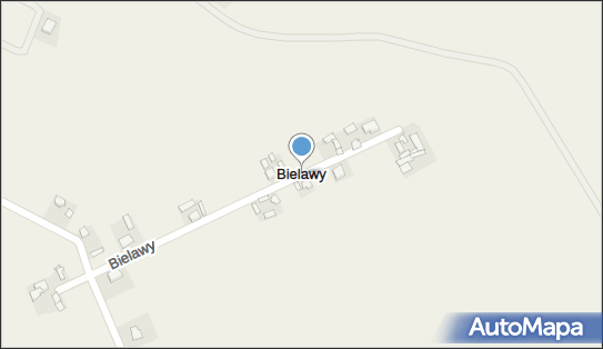 Bielawy (gmina Słupca), Bielawy - Inne