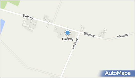 Bielawy (powiat kutnowski), Bielawy - Inne