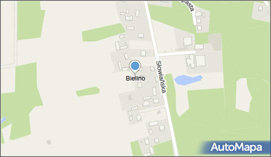 Bielino (powiat płocki), Bielino - Inne