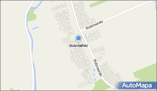 Bobrowniki (powiat łowicki), Bobrowniki - Inne