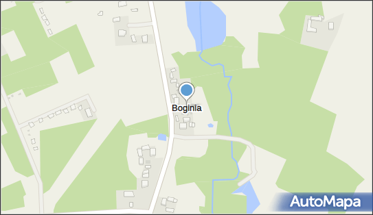 Boginia, Boginia - Inne