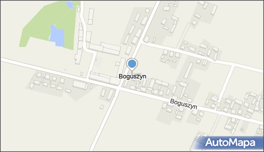 Boguszyn (powiat leszczyński), Boguszyn - Inne