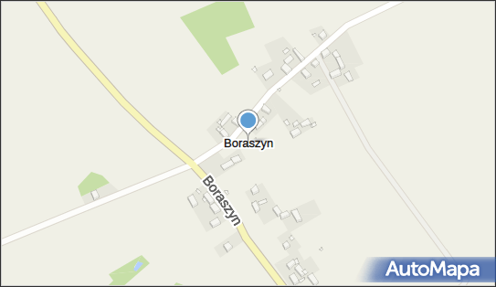 Boraszyn, Boraszyn - Inne