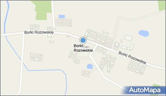 Borki Rozowskie, Borki Rozowskie - Inne