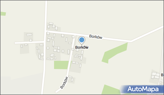 Borków (powiat pińczowski), Borków - Inne