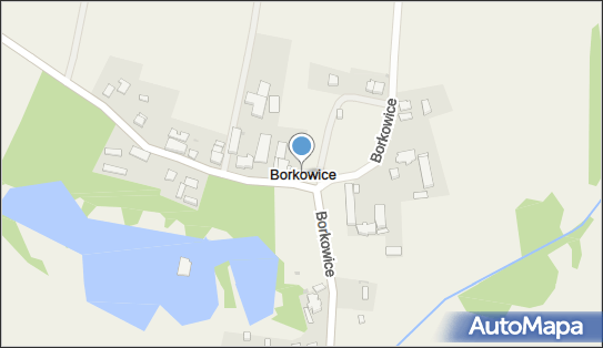 Borkowice (województwo zachodniopomorskie), Borkowice - Inne