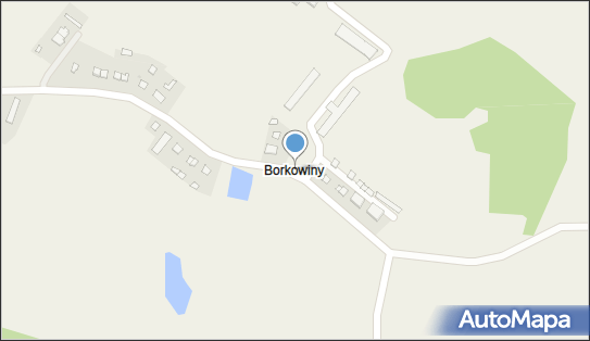 Borkowiny, Borkowiny - Inne