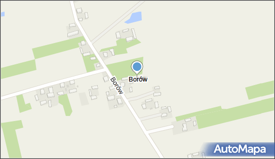 Borów (gmina Łęczyca), Borów - Inne