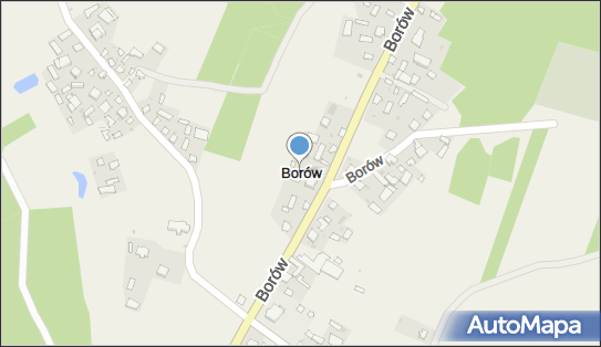 Borów (powiat kraśnicki), Borów - Inne