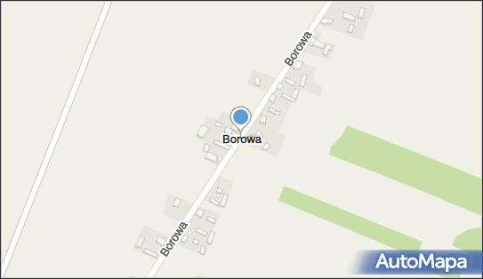 Borowa (gmina Przedbórz), Borowa - Inne