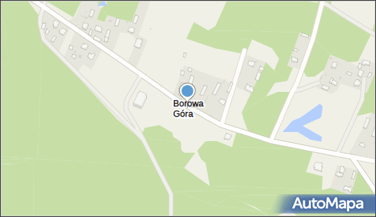 Borowa Góra (województwo podkarpackie), Borowa Góra - Inne