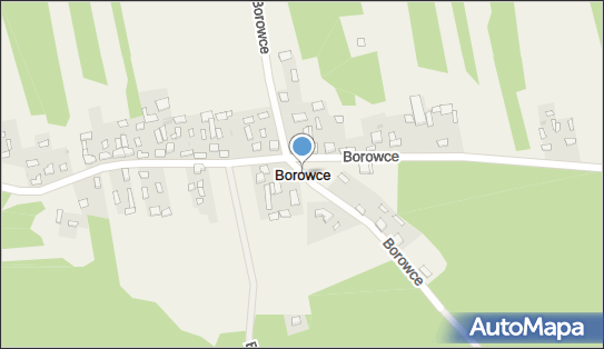 Borowce (województwo śląskie), Borowce, Borowce 42-265 - Inne