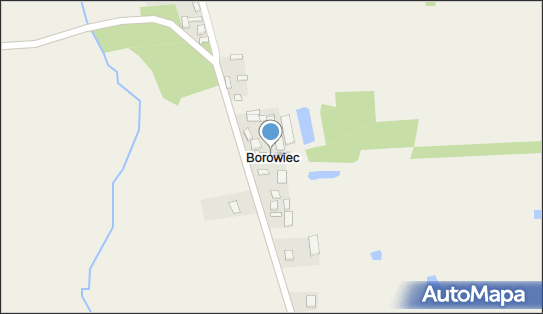 Borowiec (powiat łęczycki), Borowiec - Inne