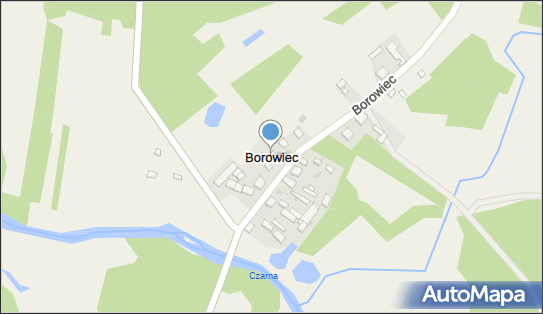 Borowiec (powiat piotrkowski), Borowiec - Inne