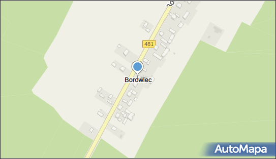 Borowiec (powiat wieluński), Borowiec - Inne