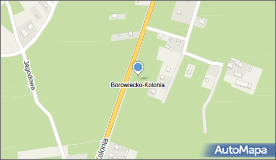 Borowiecko-Kolonia, Borowiecko-Kolonia - Inne