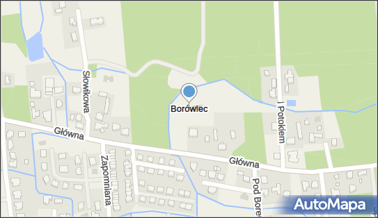 Borówiec, Borówiec - Inne