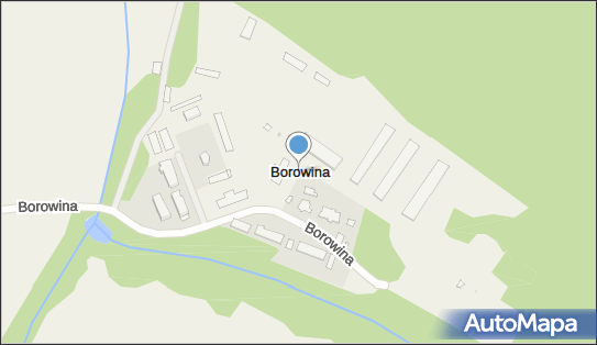 Borowina (powiat puławski), Borowina - Inne