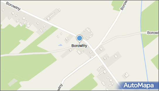 Borowiny (powiat bełchatowski), Borowiny - Inne