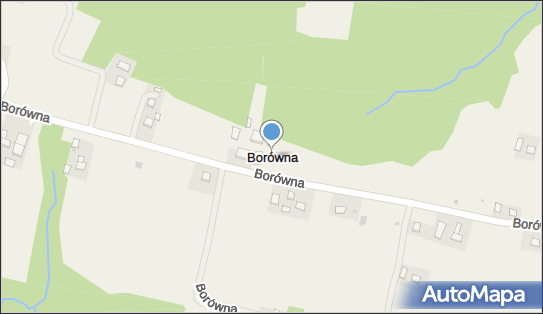 Borówna, Borówna - Inne