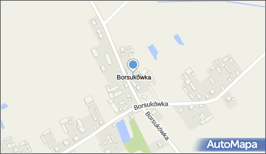 Borsukówka, Borsukówka - Inne