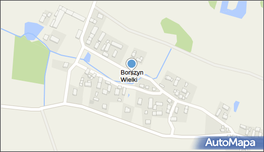 Borszyn Wielki, Borszyn Wielki - Inne