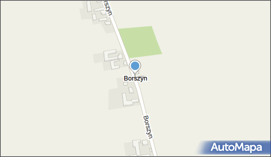Borszyn, Borszyn - Inne
