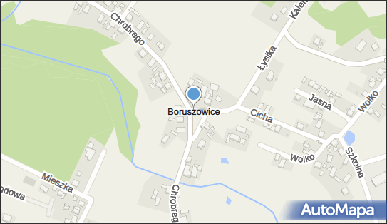 Boruszowice, Boruszowice - Inne