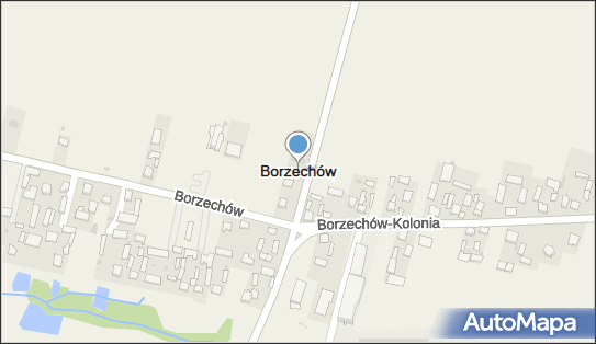 Borzechów, Borzechów - Inne