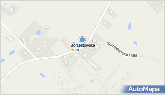 Borzestowska Huta, Borzestowska Huta - Inne