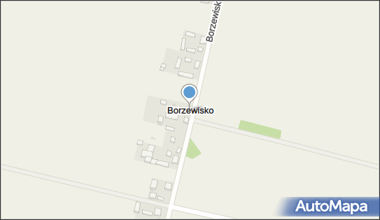 Borzewisko (powiat sieradzki), Borzewisko - Inne