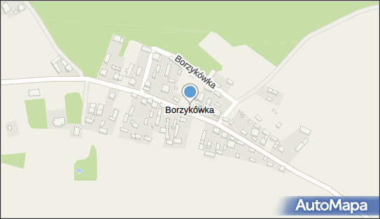 Borzykówka, Borzykówka - Inne