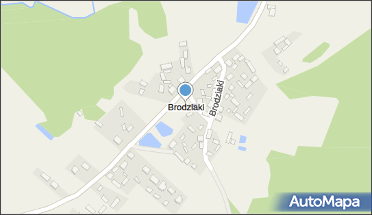 Brodziaki, Brodziaki - Inne