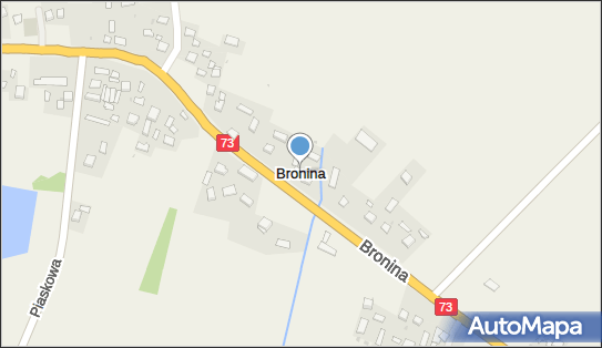 Bronina, Bronina - Inne