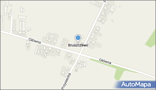 Bruszczewo, Bruszczewo - Inne