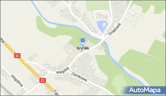 Brynek, Brynek - Inne